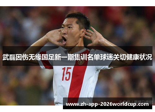 武磊因伤无缘国足新一期集训名单球迷关切健康状况