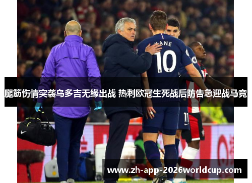 腿筋伤情突袭乌多吉无缘出战 热刺欧冠生死战后防告急迎战马竞