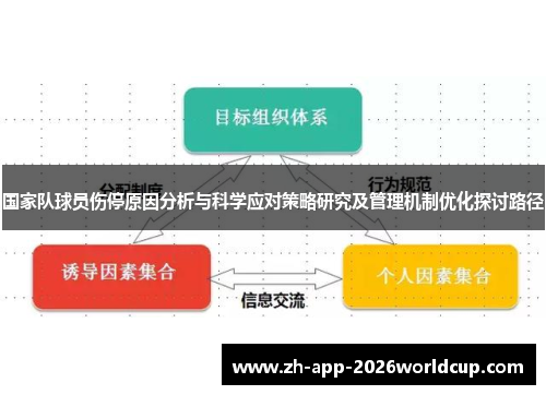 国家队球员伤停原因分析与科学应对策略研究及管理机制优化探讨路径